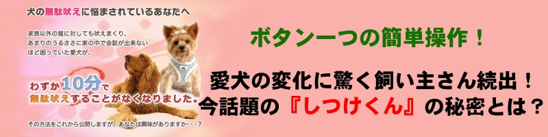 ����������T�C�g